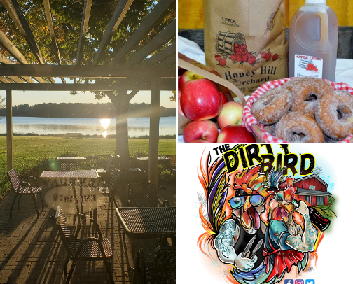 My top Dekalb county recs cover photo collage