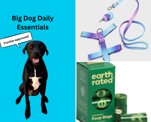 Big Dog Daily Essentials (everything we ACTUALLY use!) cover photo collage