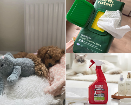 Puppy Must-Haves 🐶 | Everything You ACTUALLY Need for a New Puppy cover photo collage