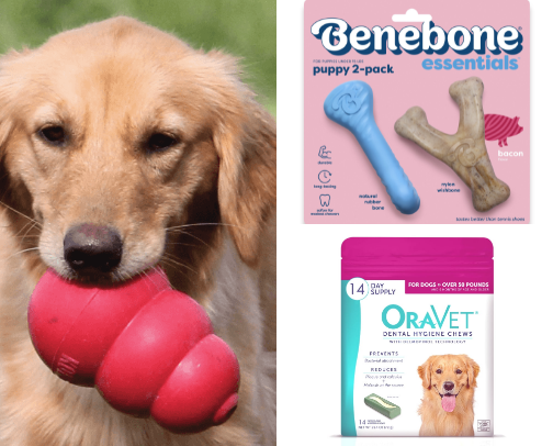 All things for pups! cover photo collage