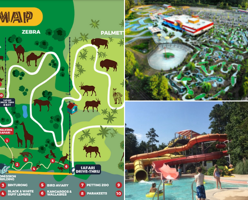 Fun for all!!!! cover photo collage