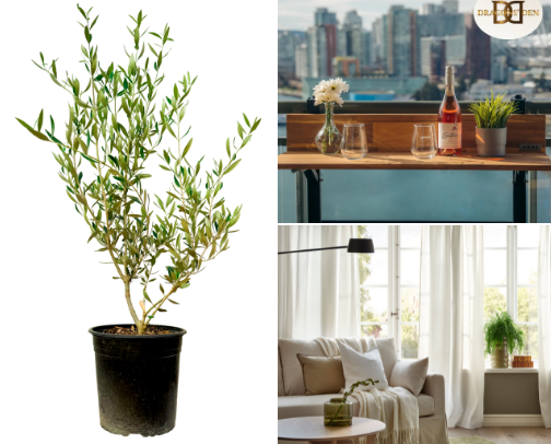 make your home beautiful cover photo collage