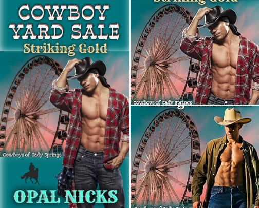 Opal Nicks' Cowboy Yard Sale Trilogy cover photo collage