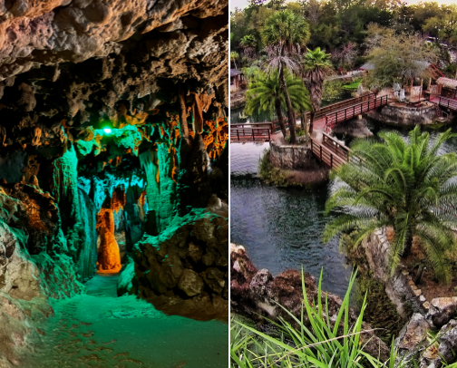 Florida Fun cover photo collage