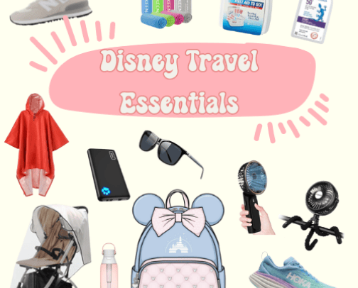 Disney Travel Essentials cover photo collage