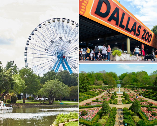 ✨ Things to Do in Dallas, Texas cover photo collage