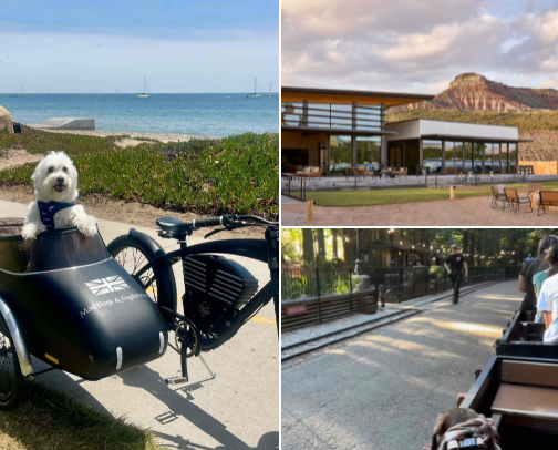 Dog-Friendly Experiences cover photo collage