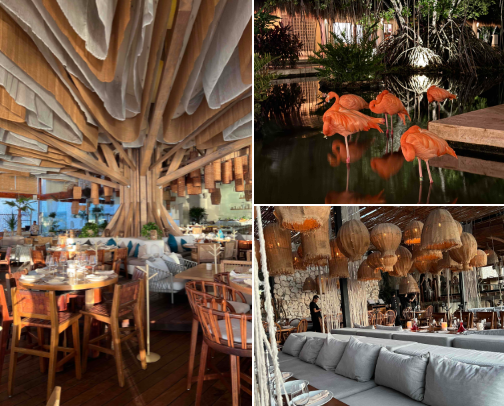 A guide to Riviera Maya, Mexico cover photo collage