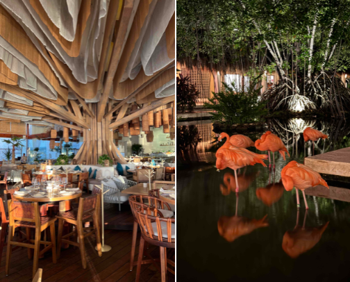 A guide to Riviera Maya, Mexico cover photo collage