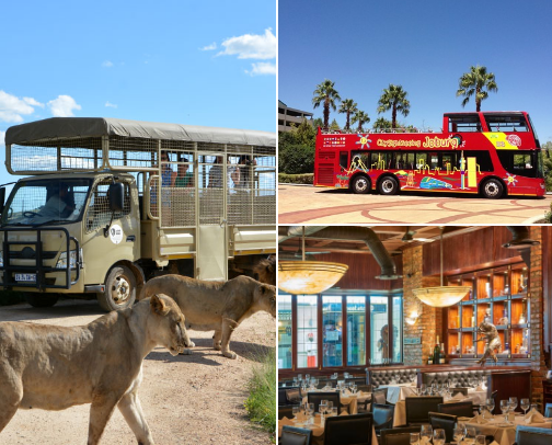 My top Johannesburg recs cover photo collage