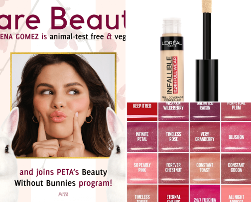 makeup i recommend from personal experience cover photo collage