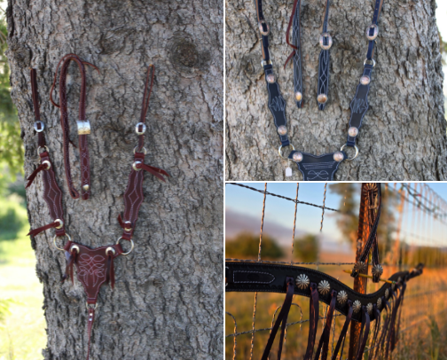 Daily Tack cover photo collage