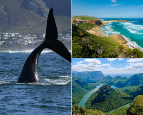 Let's hit the road! cover photo collage