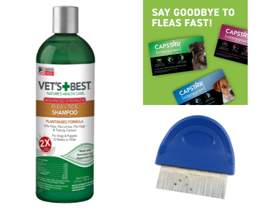 My Fav Way to Say Bye to Fleas! ✌🏽🦟 cover photo collage