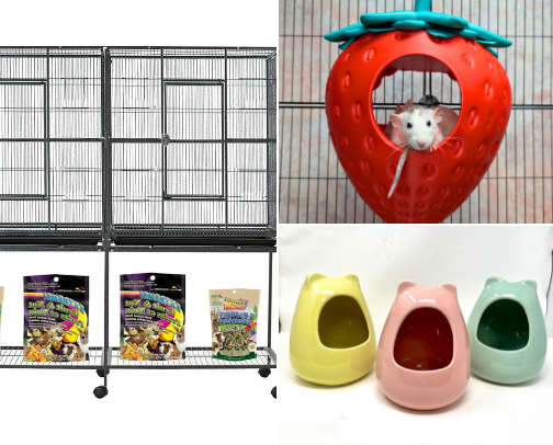 Dream Rat Enclosure cover photo collage