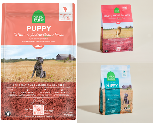 The Ultimate Doggie Must-Haves (Schnauzer Tested!) cover photo collage