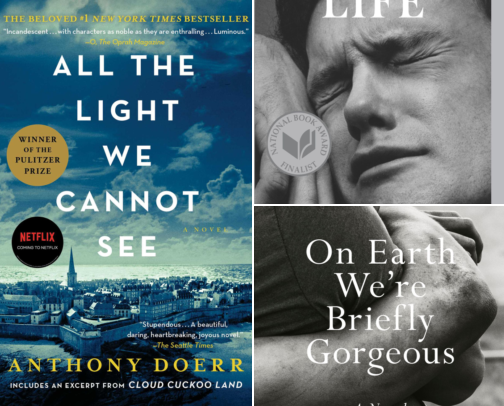 Literary Fiction That Reads Like Poetry but Hit Me Like a Truck cover photo collage