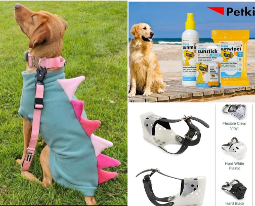 Dog Care Essentials For An Itch Free and Happy Pup cover photo collage
