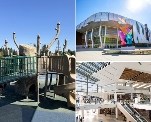 Explore Roseville cover photo collage
