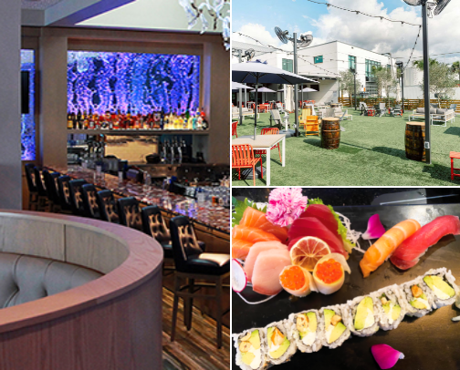 My Tampa, FL Restaurant Recommendations cover photo collage