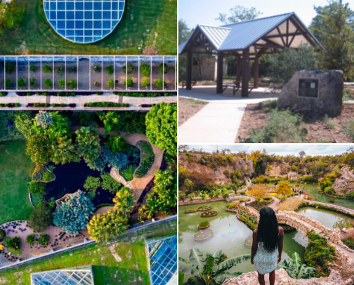 Things to do around San Antonio if you're bored cover photo collage