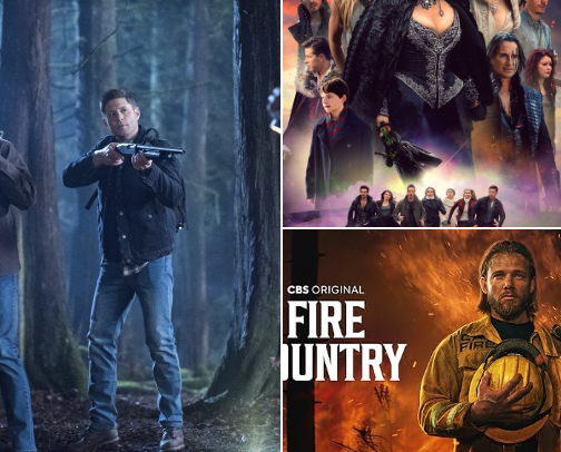 Fave Shows cover photo collage