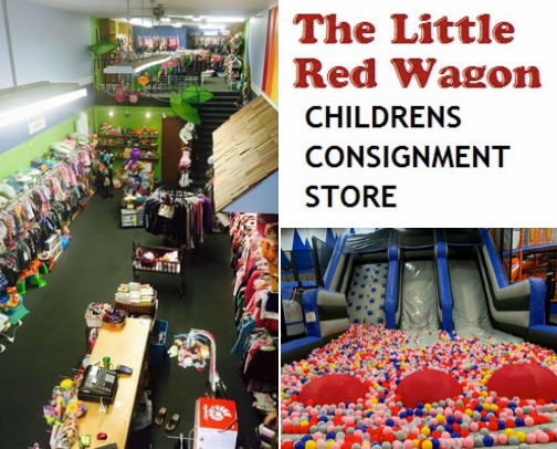 Whatcom/ Skagit county Baby/Toddler Places cover photo collage