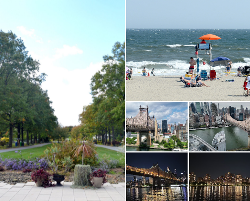 Things To Do In The NYC Area cover photo collage