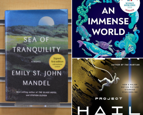 My Book Recommendations 📚 cover photo collage