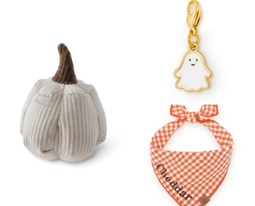 🎃 "Boo basket" for your pup! cover photo collage