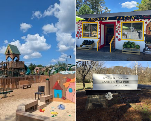 Things to do in Buford/Suwanee/ Sugar Hill Ga cover photo collage