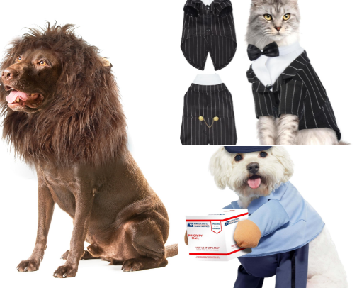Pet Halloween Costumes That Will Turn Heads cover photo collage