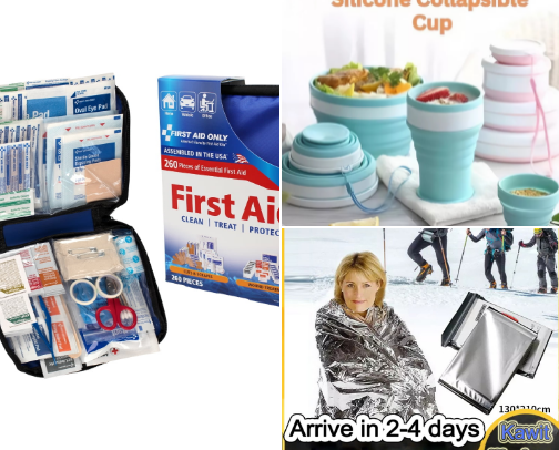 WHAT TO HAVE ON YOUR EMERGENCY GO BAG cover photo collage