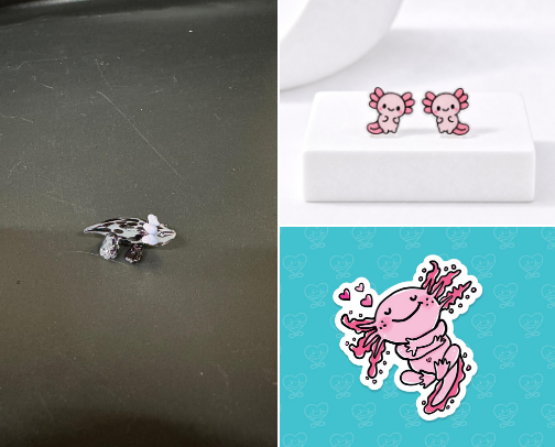 All the Axolotls! cover photo collage