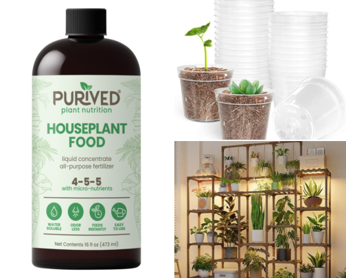 My favorite indoor plant supplies cover photo collage