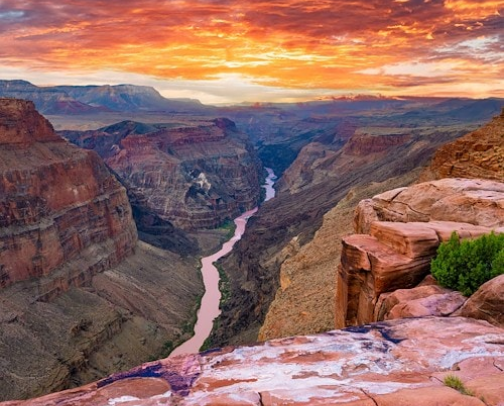Wild and Wonderful : National Parks Across the US and Canada cover photo collage