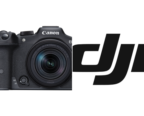 Wildlife & Photography Gear We Use 🐋📸 cover photo collage
