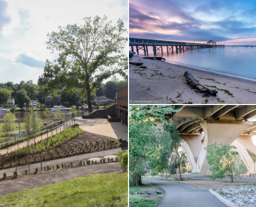 Making the Best of NoVa cover photo collage