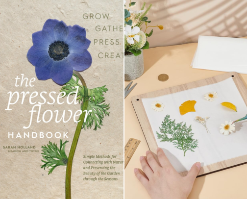All you need to start Pressing Flowers cover photo collage