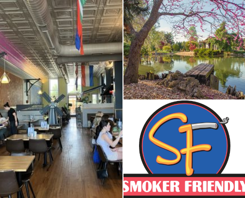 My top Springfield recs cover photo collage