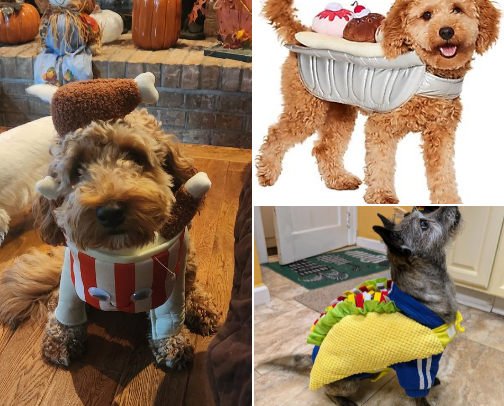 The Cutest & Funniest Dog Halloween Costumes on Chewy (2025 Guide) cover photo collage