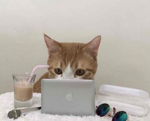 My Favorite Tech cover photo collage