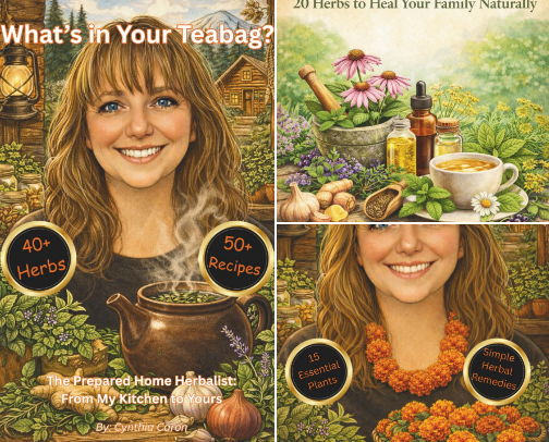 Homestead Books cover photo collage