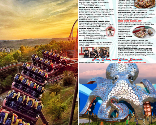 Fun in Branson cover photo collage