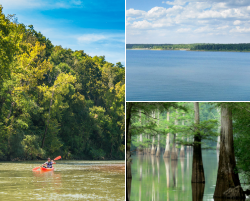 OH the Places You Should Go cover photo collage