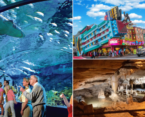 Attractions in Tennessee cover photo collage