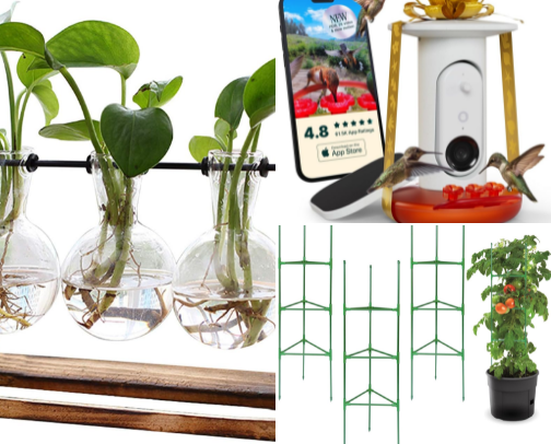 Crazy Plant Lady cover photo collage