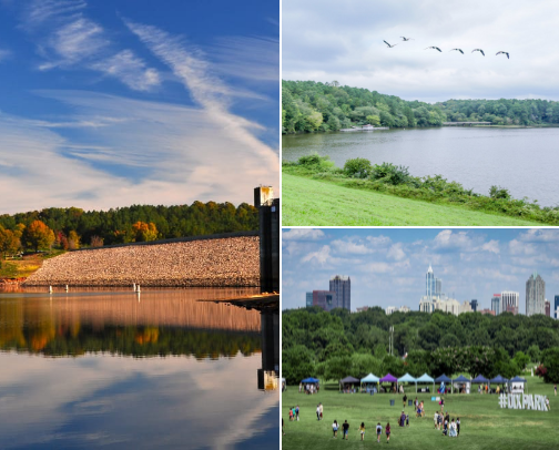 What I do in the Triangle cover photo collage