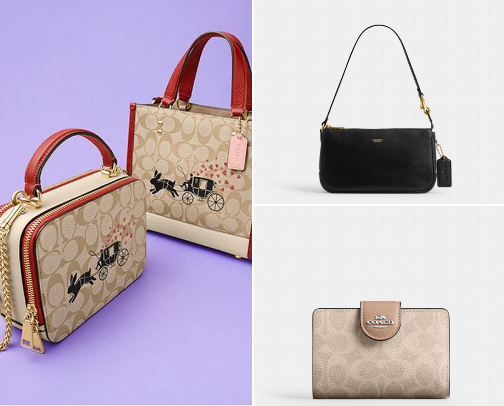 Coach bags must haves 👜👛 cover photo collage