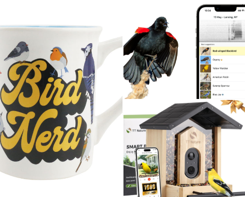 Bird Nerd 🤓 🦜 cover photo collage